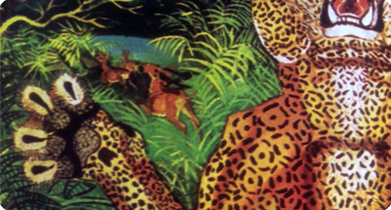 06_tigre_particolare